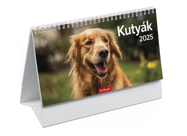 24T581P-00P - T058 KUTYÁK - 2025
