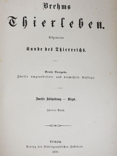 Alfred Brehm - Brehms Thierleben V. (gótbetűs) [antikvár]
