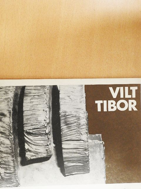 Baranyi Judit - Vilt Tibor [antikvár]