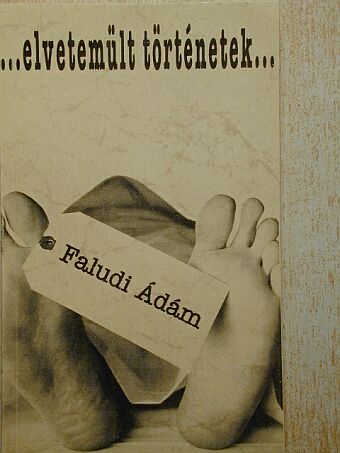 Faludi Ádám - Elvetemült történetek [antikvár]