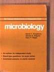 Microbiology [antikvár]