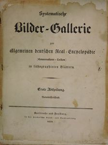 Systematische Bilder-Gallerie zur allgemeinen deutschen Real-Encyclopädie 1-4. (gótbetűs) (nem teljes) (rossz állapotú) [antikvár]