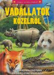 TÓTH DÓRA - Vadállatok közelről [antikvár]