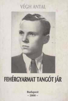 VÉGH ANTAL - Fehérgyarmat tangót jár [antikvár]