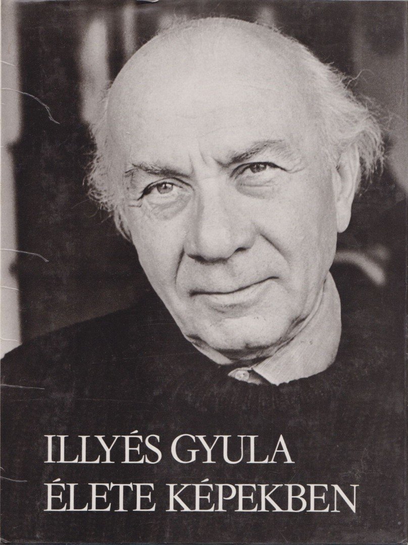 Illyés Gyuláné - Illyés Gyula élete képekben [antikvár]