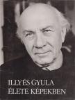 Illyés Gyuláné - Illyés Gyula élete képekben [antikvár]