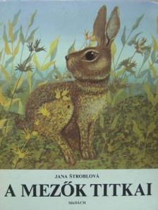 Jana Stroblova - A mezők titkai [antikvár]
