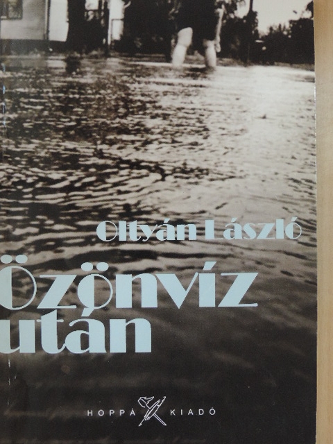 Oltyán László - Özönvíz után [antikvár]