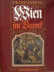 Franz Endler - Wien im Barock [antikvár]