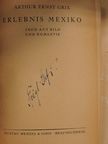 Arthur Ernst Grix - Erlebnis Mexiko [antikvár]