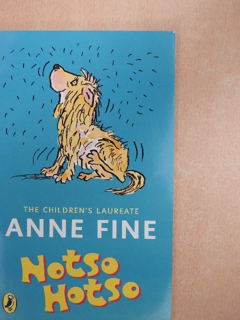 Anne Fine - Notso Hotso [antikvár]