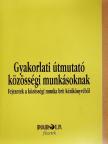 Ann Hindley - Gyakorlati útmutató közösségi munkásoknak [antikvár]