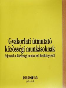 Ann Hindley - Gyakorlati útmutató közösségi munkásoknak [antikvár]