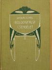 Gajdács Pál - Boldogfalvi csendélet [antikvár]