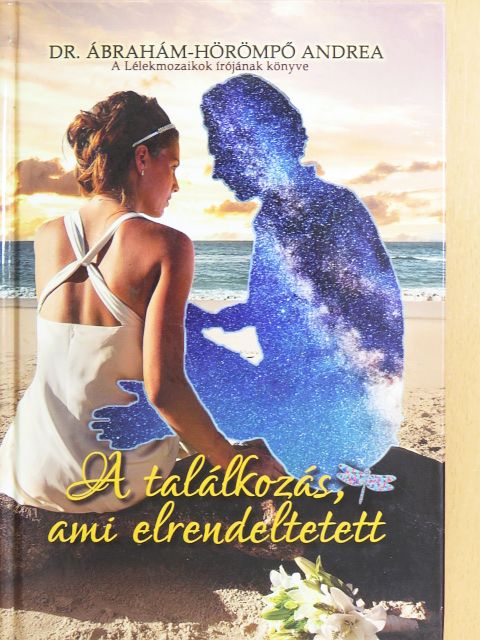 Dr. Ábrahám-Hörömpő Andrea - A találkozás, ami elrendeltetett [antikvár]