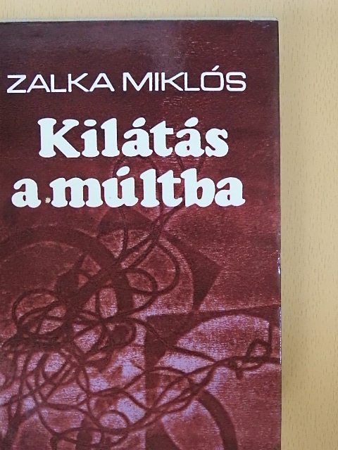 Zalka Miklós - Kilátás a múltba [antikvár]