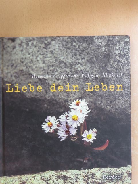 Hermann Brüggemann - Liebe dein Leben [antikvár]