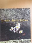 Hermann Brüggemann - Liebe dein Leben [antikvár]