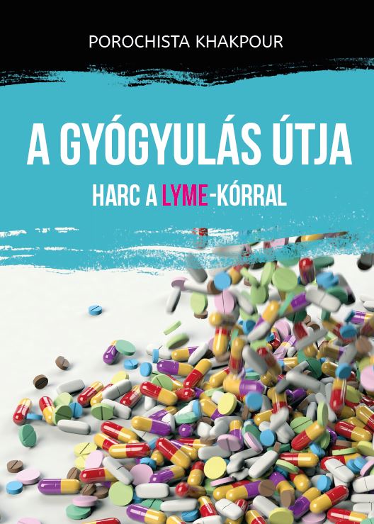 Porochista Khakpour - A gyógyulás útja
