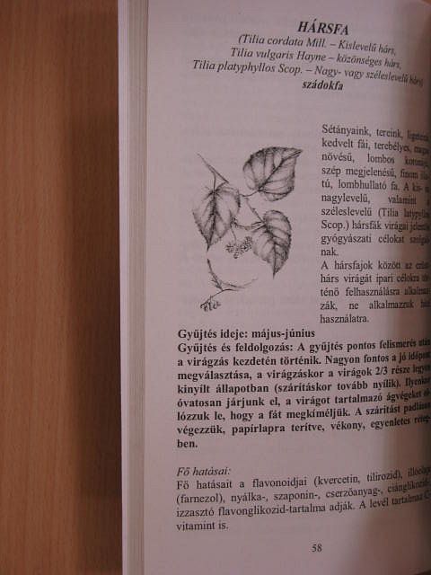 Németh Imréné Éva - Gyógynövény ABC [antikvár]