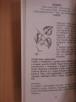 Németh Imréné Éva - Gyógynövény ABC [antikvár]