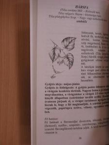 Németh Imréné Éva - Gyógynövény ABC [antikvár]