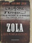 Denise Leblond-Zola - Zola élete, munkája, küzdelme [antikvár]