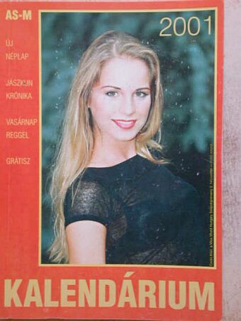 Kalendárium 2001 [antikvár]