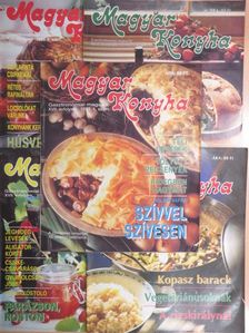 Csorba Éva - Magyar Konyha 1993. (nem teljes évfolyam) [antikvár]