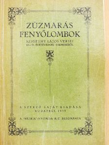 Szigethy Lajos - Zúzmarás fenyőlombok [antikvár]