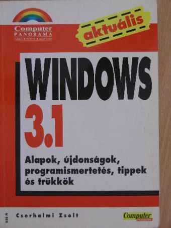 Cserhalmi Zsolt - Windows 3.1 [antikvár]