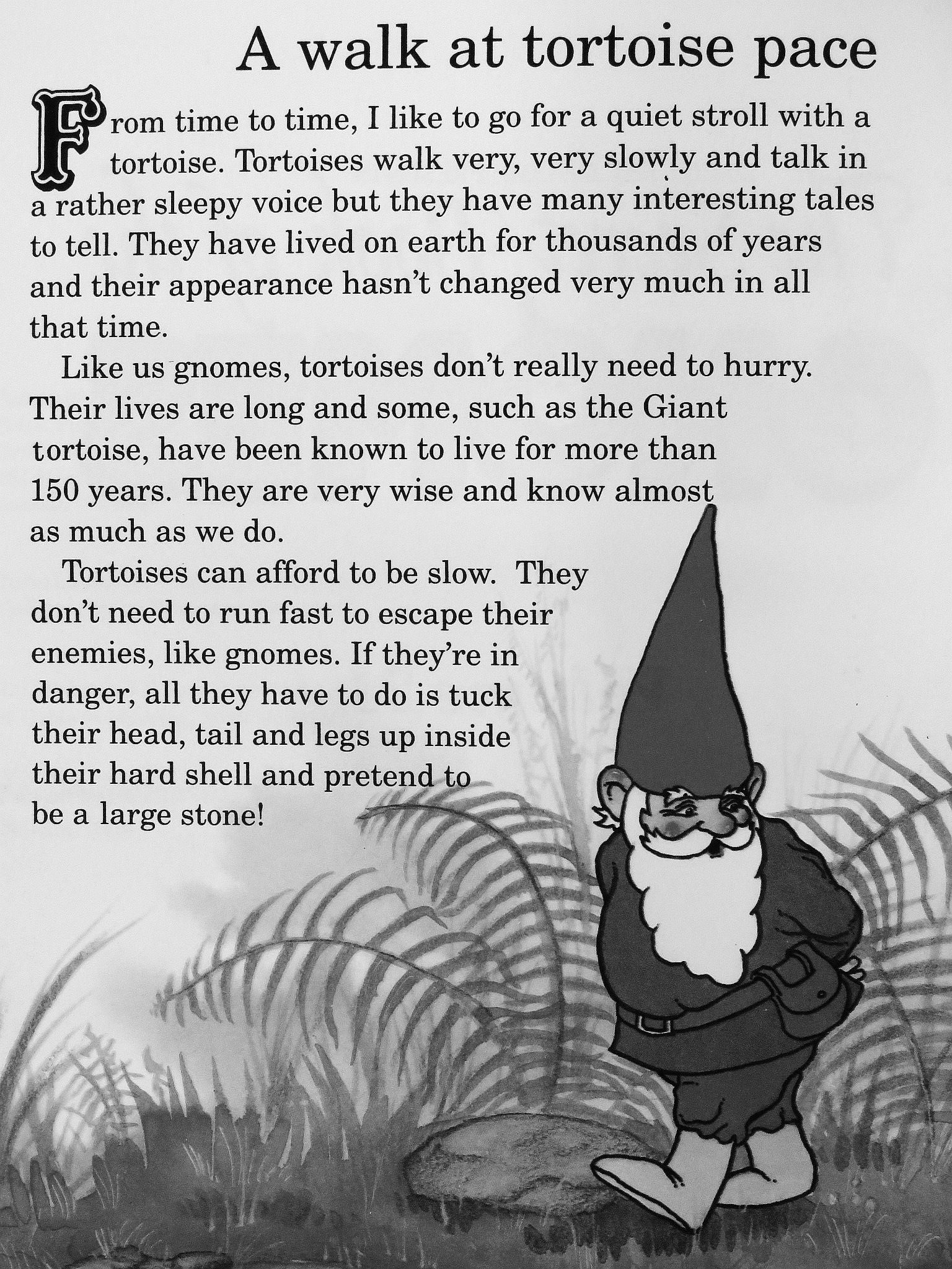 The Secret Book of the Gnomes 21. [antikvár]