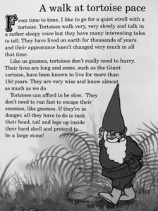 The Secret Book of the Gnomes 21. [antikvár]