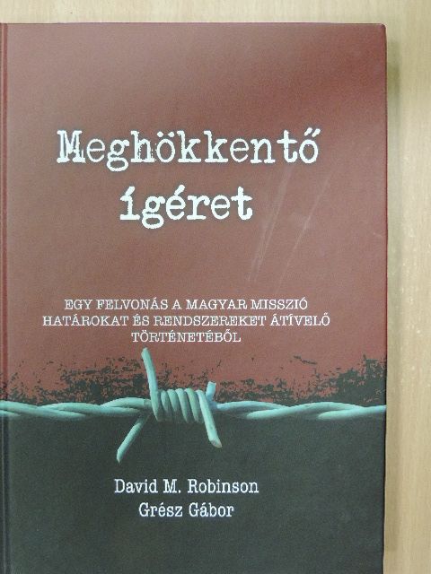 David M. Robinson - Meghökkentő ígéret [antikvár]