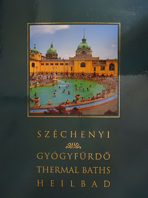 Dr. Horváth Remény - Széchenyi gyógyfürdő [antikvár]