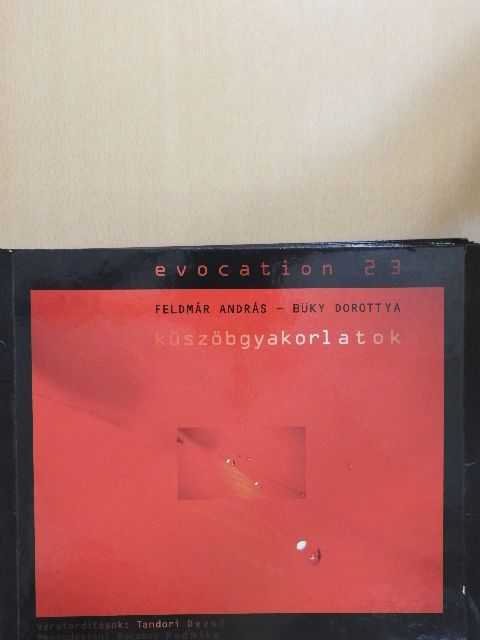 Feldmár András - Küszöbgyakorlatok [antikvár]