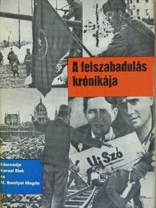 Karsai Elek - A felszabadulás krónikája [antikvár]