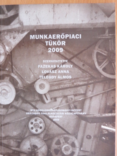 Cseres-Gergely Zsombor - Munkaerőpiaci tükör 2009 [antikvár]