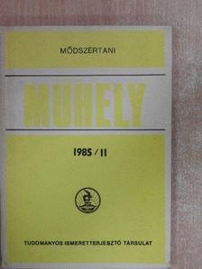 Arany Erzsébet - Módszertani Műhely 1985/II. [antikvár]