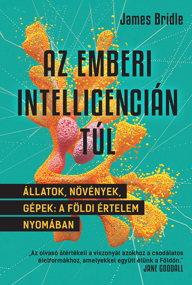 James Bridle - Az emberi intelligencián túl