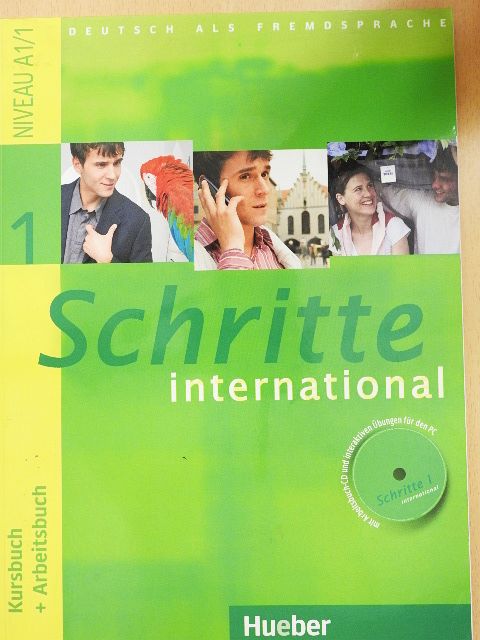 Daniela Niebisch - Schritte international 1 [antikvár]