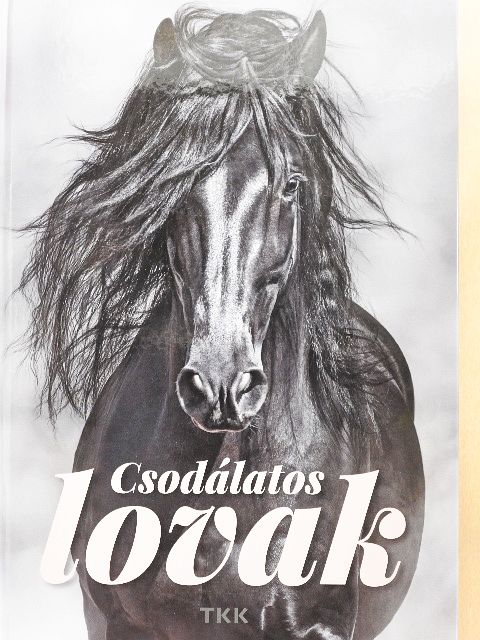 Konyhás István - Csodálatos lovak [antikvár]