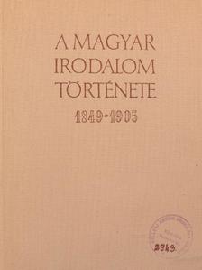 Diószegi András - A magyar irodalom története 1849-1905 [antikvár]