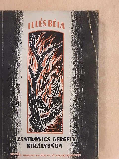 Illés Béla - Zsatkovics Gergely királysága [antikvár]