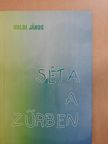 Holdi János - Séta a zűrben (dedikált példány) [antikvár]