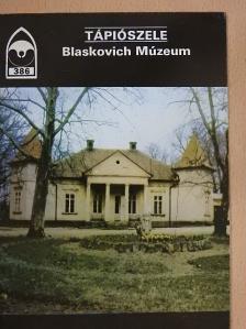 Gócsáné Móró Csilla - Tápiószele - Blaskovich Múzeum [antikvár]
