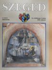 Besenyei Sándor - Szeged 2001. január [antikvár]