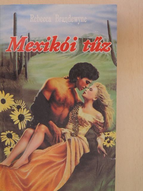 Rebecca Brandewyne - Mexikói tűz [antikvár]