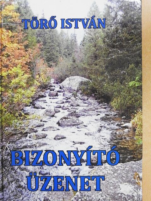 Törő István - Bizonyító üzenet [antikvár]