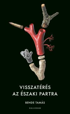 Bende Tamás - Visszatérés az északi partra
